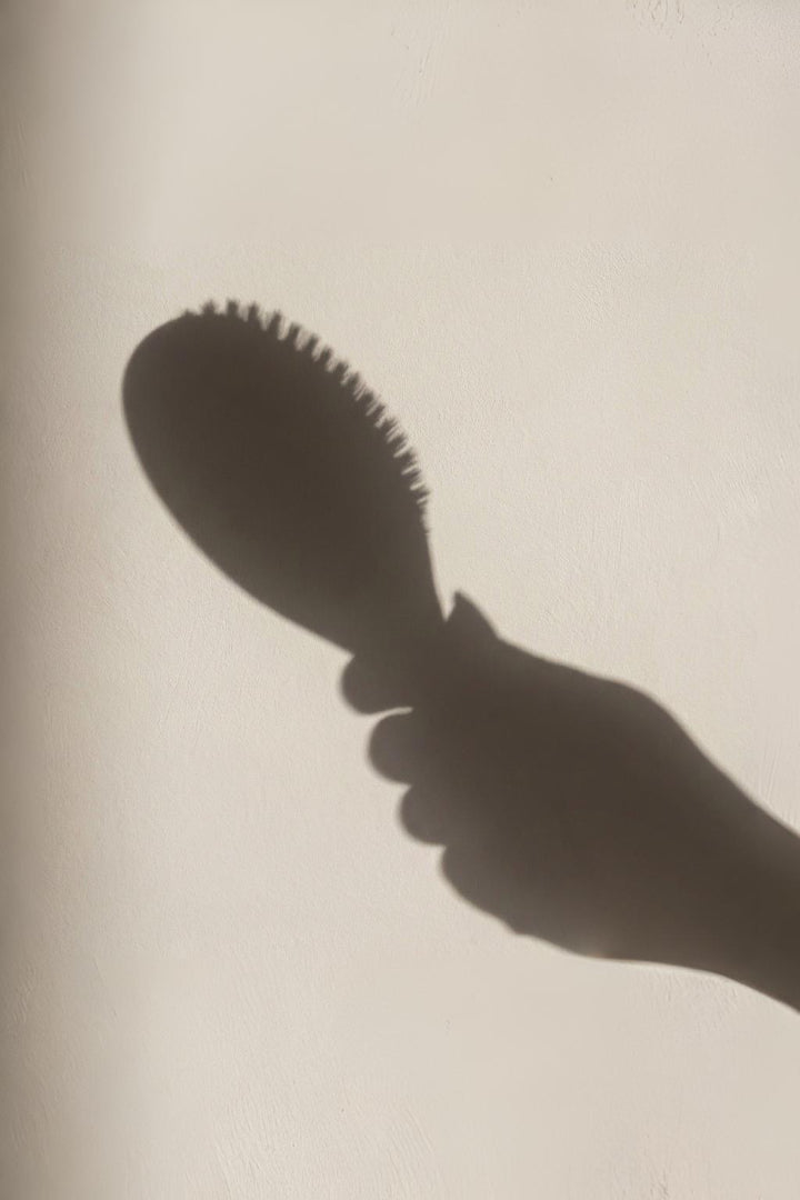 Brosse Cheveux - Poils de sanglier